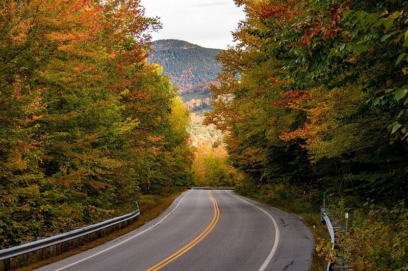 13 лучших в мире мест, чтобы полюбоваться осенней листвой: Киото, Вермонт, Париж и многое другое