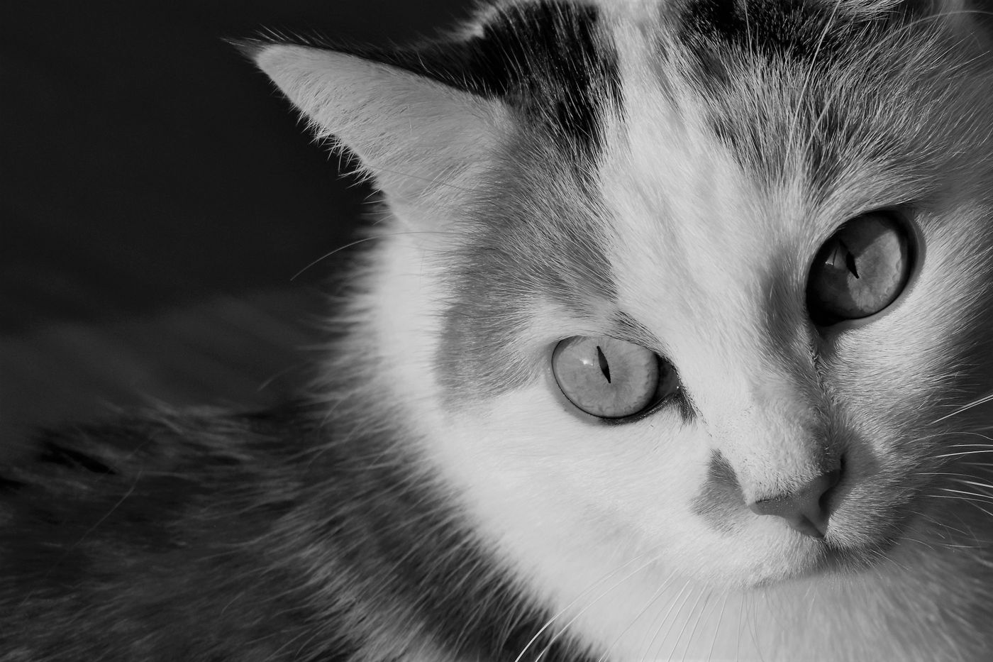 Как пользоваться Wi‑Fi в поездке безопасно