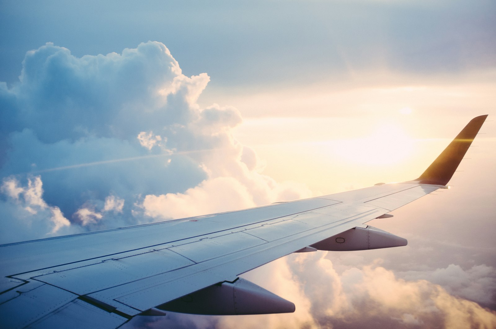 Pegasus Airlines vs Turkish Airlines: что выбрать и где выгоднее