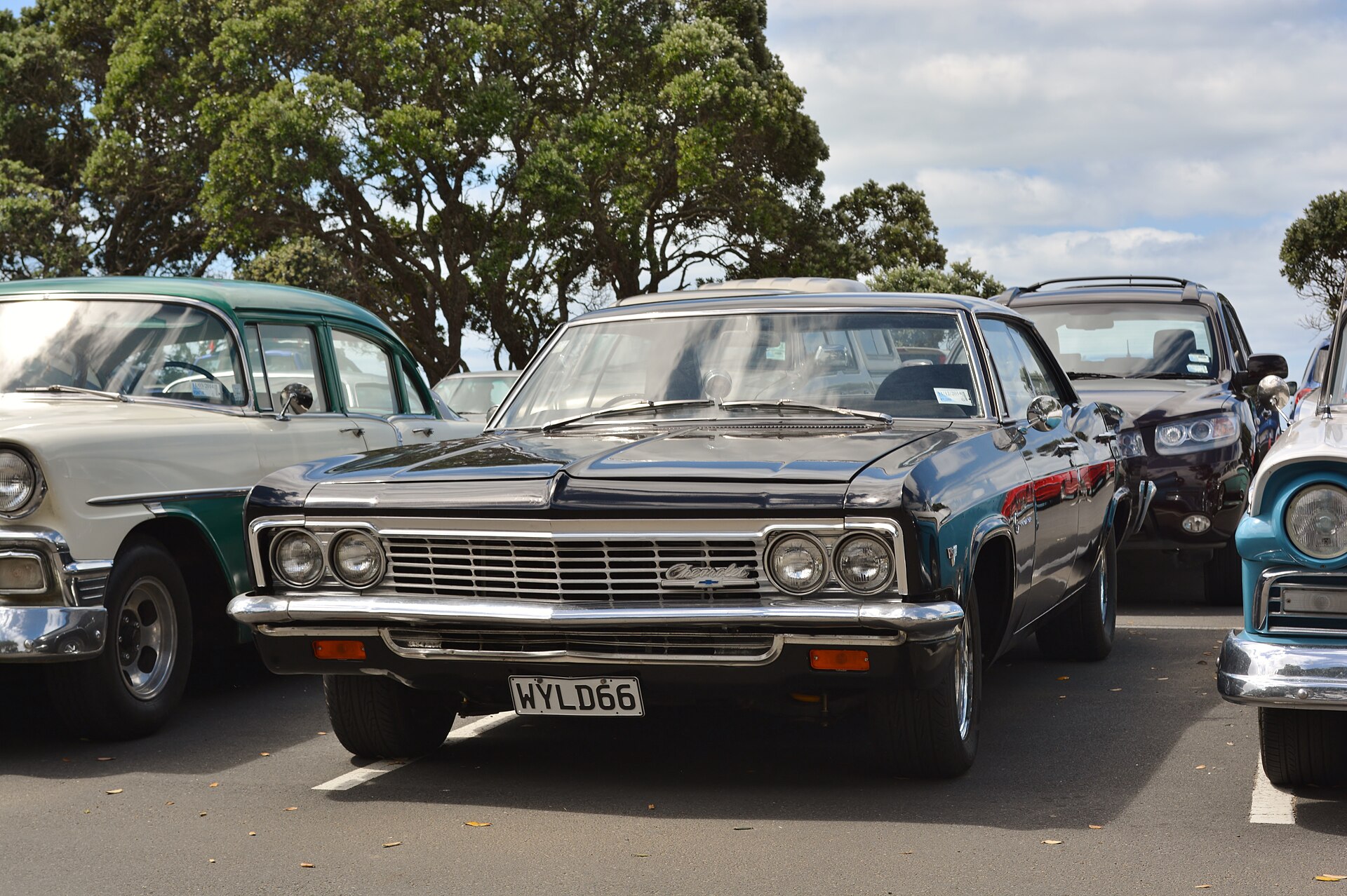 Окленд: вулканы и острова Хаураки